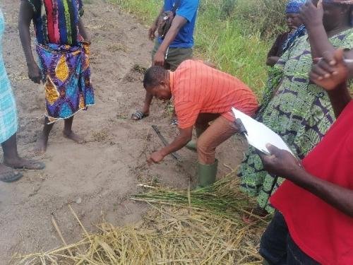 Agric-training-4